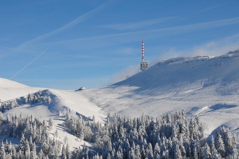 Empfehlungen ab Januar 2026