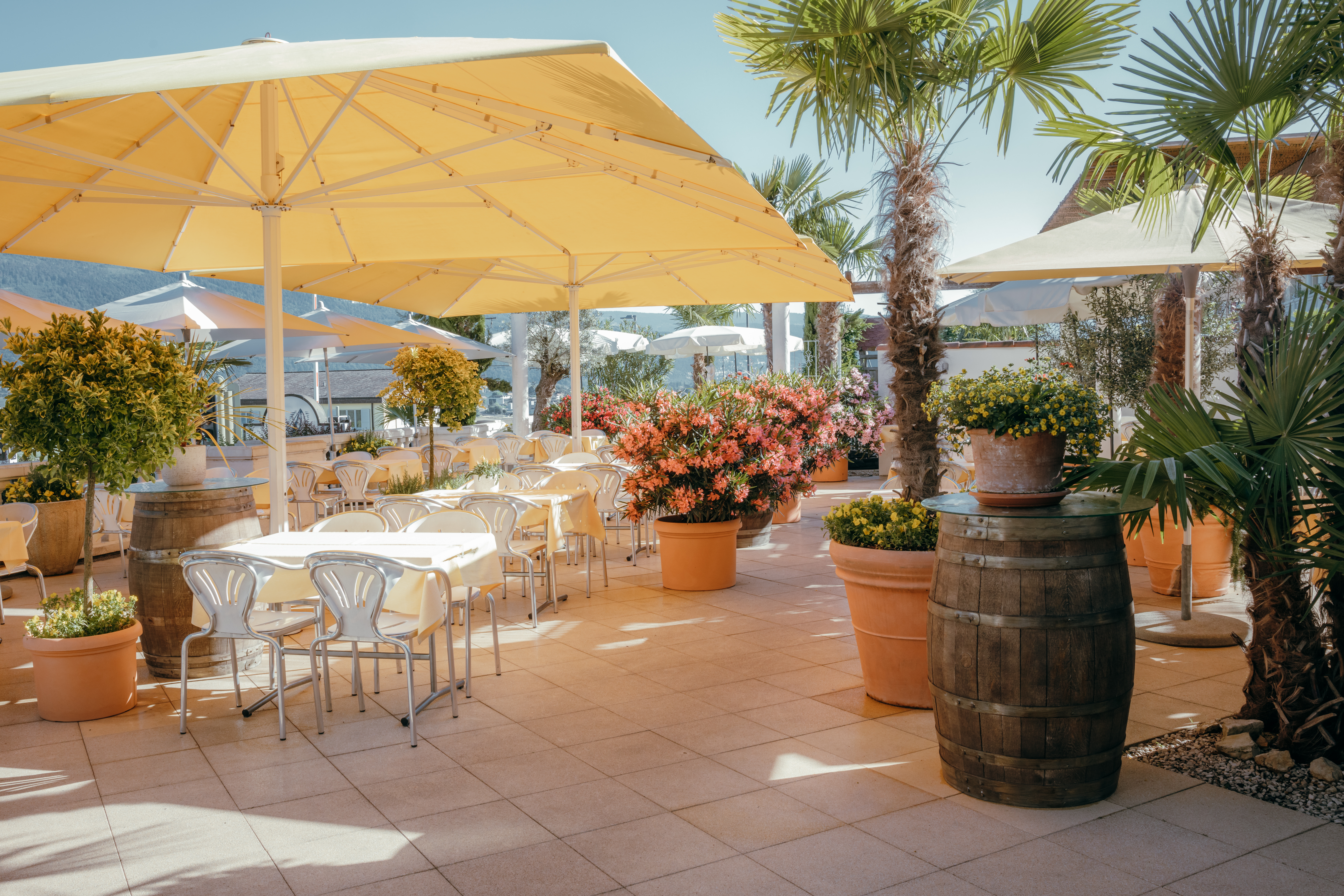 Empfehlungen Frühling